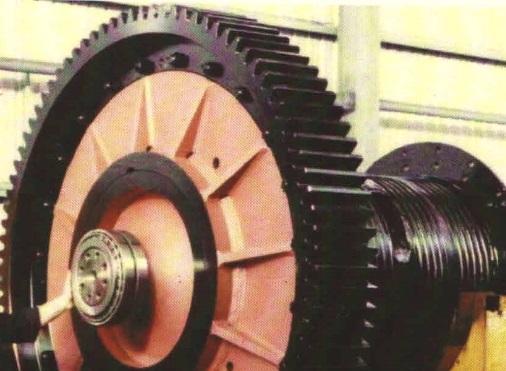 Gear